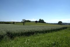 DSC_0070-1