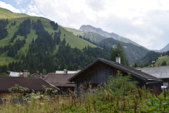 DSC_0196-1
