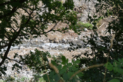 DSC_0199-1
