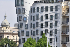 DSC_0175