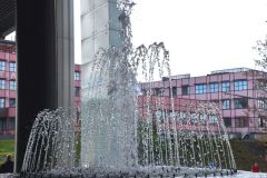 DSC_0243