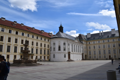 DSC_0317