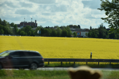 DSC_0520