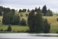 DSC_0098