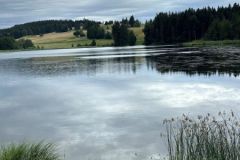 PHOTO-2026-07-08-18-11-55-3