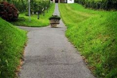 IMG_20220909_155554